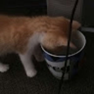 Meet your Posher, Clodagh